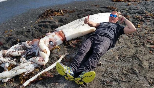 2013 DIMSC Overall winner Michael Bonnici with another nice Coffs red.